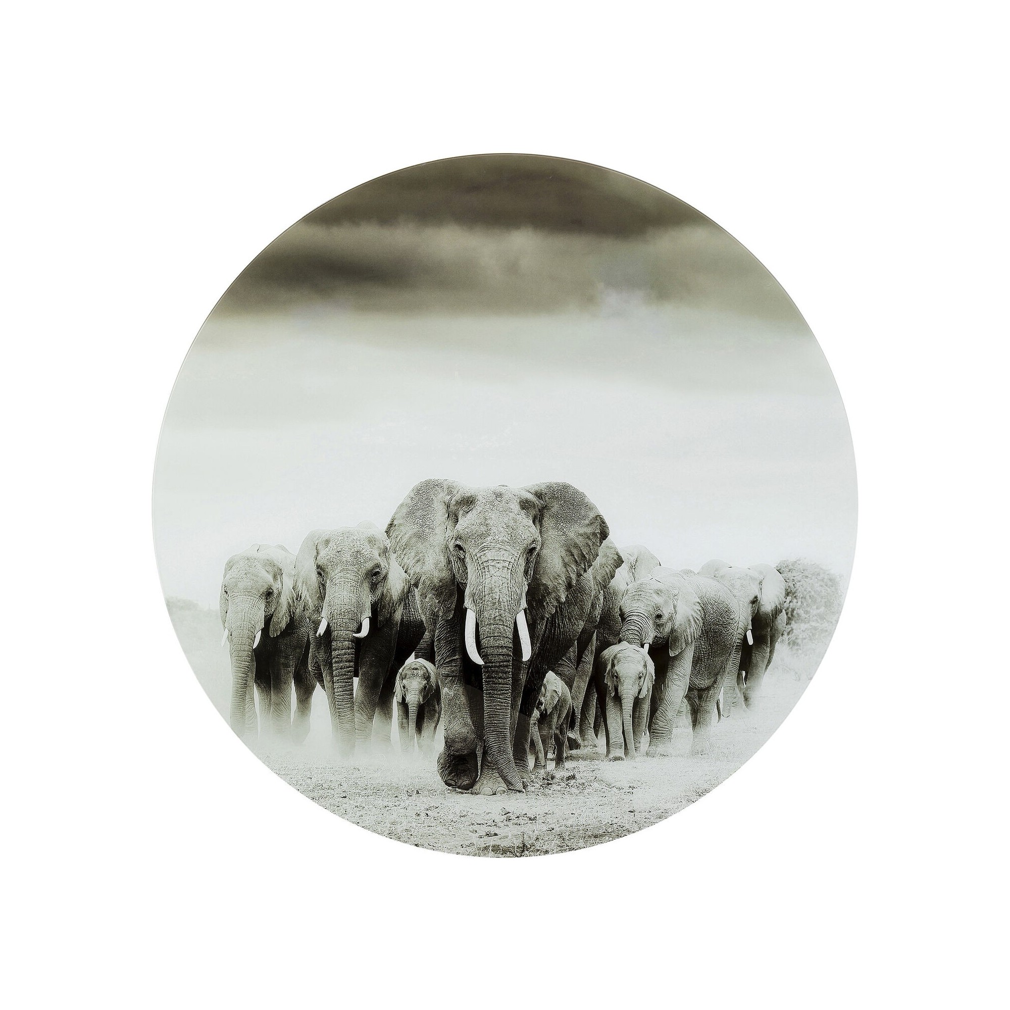 Tableau en verre Elephant Walk Ø120cm