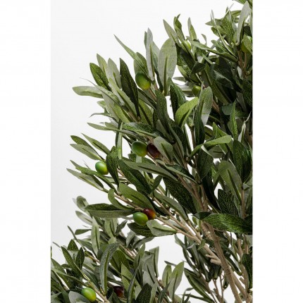 Decoratie Plant Olijfboom 120cm Kare Design