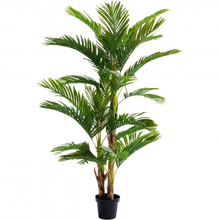 Decoratie Plant Palm tree 190cm Kare Design