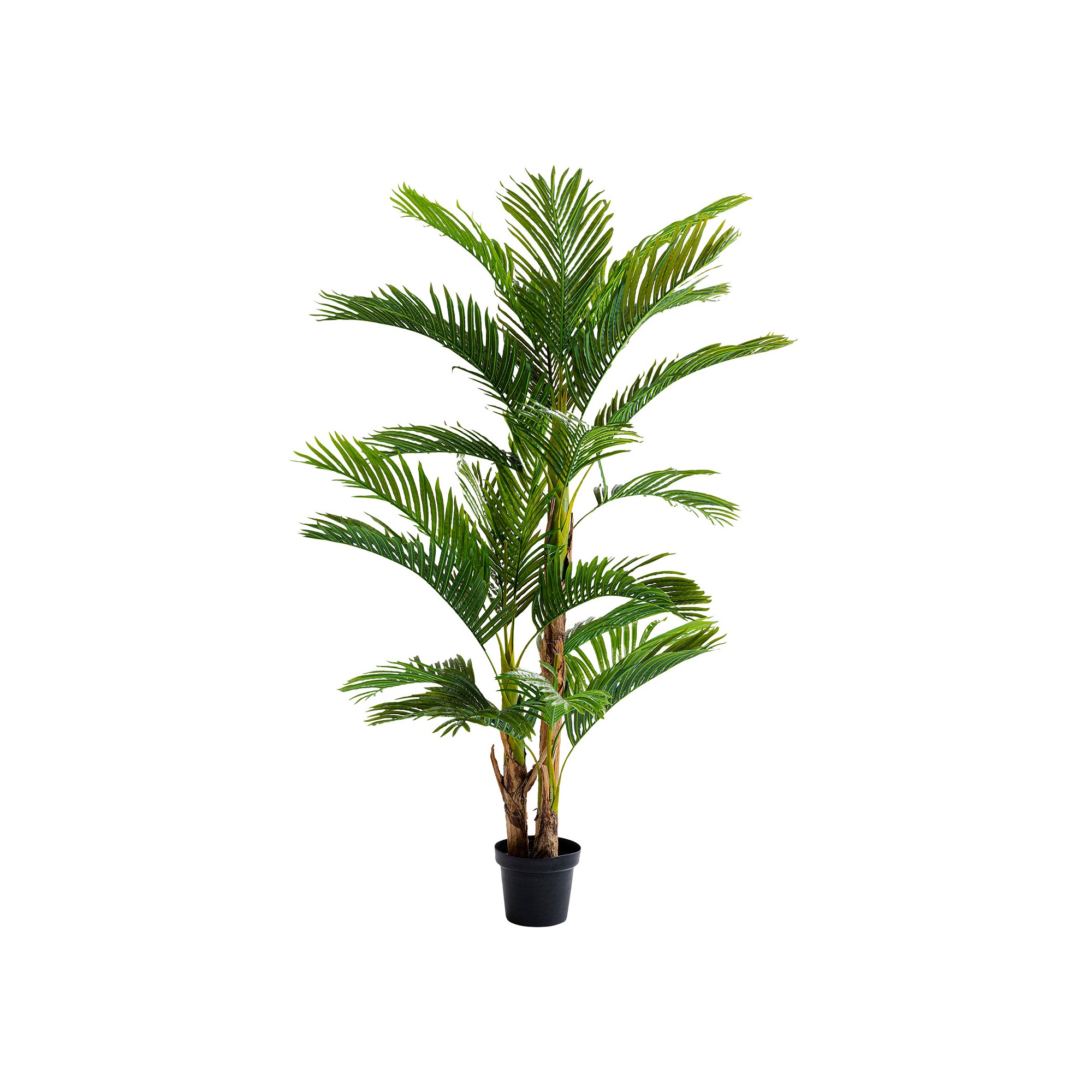 Decoratie Plant Palm tree 190cm Kare Design