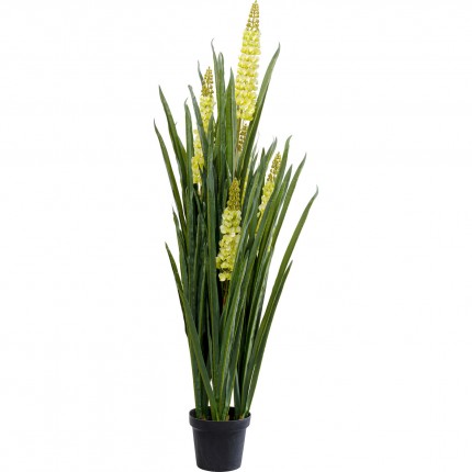 Decoratie Plant Rhynchostylis 150cm Kare Design