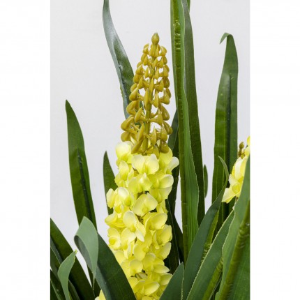 Decoratie Plant Rhynchostylis 150cm Kare Design