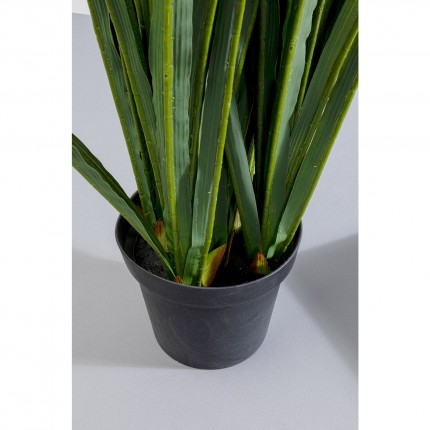 Decoratie Plant Rhynchostylis 150cm Kare Design