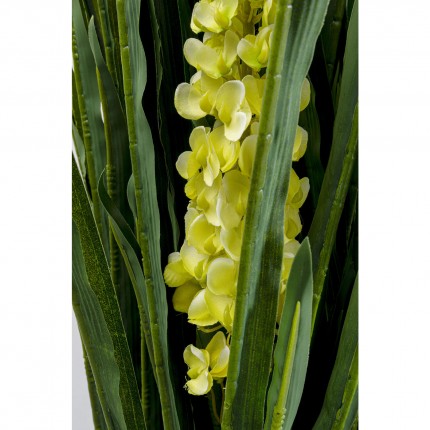 Decoratie Plant Rhynchostylis 150cm Kare Design