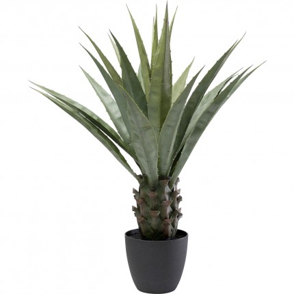 Decoratie plant Agave 85cm Kare Design