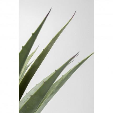 Deco plant agave 85cm Kare Design