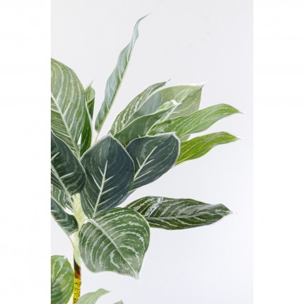 Deco plant Calathea 140cm Kare Design