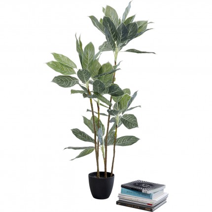 Deco plant Calathea 140cm Kare Design