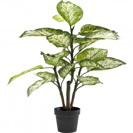 Decoratie plant Dieffenbachie 100cm Kare Design