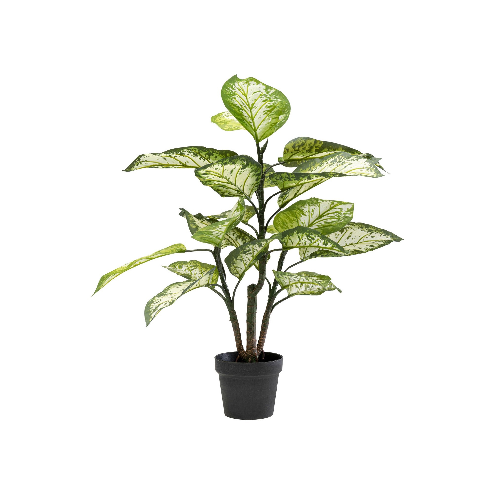 Plante décorative Dieffenbachie 100cm