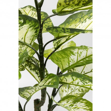 Decoratie plant Dieffenbachie 100cm Kare Design