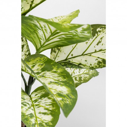 Decoratie plant Dieffenbachie 100cm Kare Design