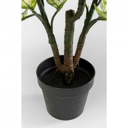 Decoratie plant Dieffenbachie 100cm Kare Design