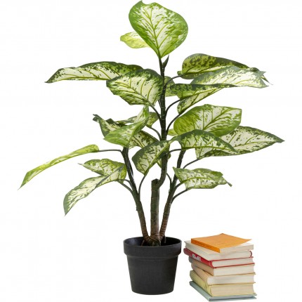 Deco plant Dieffenbachie 100cm Kare Design