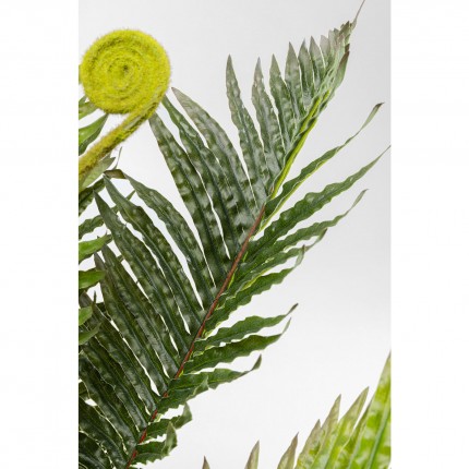 Decoratie Plant Fern 55cm Kare Design