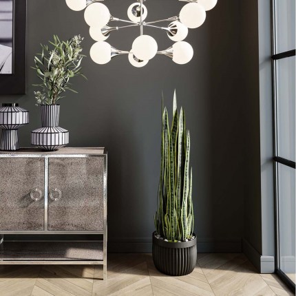 Decoratie Plant Sansewieria 155cm Kare Design