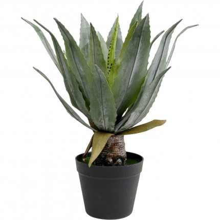 Decoratie plant agave 40cm Kare Design