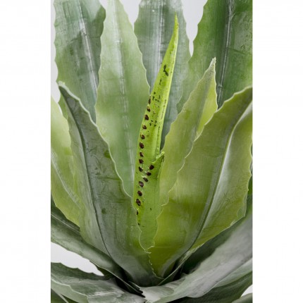 Deco plant agave 40cm Kare Design