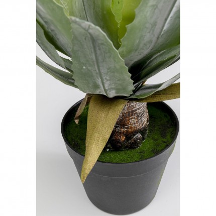 Deco plant agave 40cm Kare Design