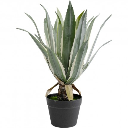 Decoratie plant agave 50cm Kare Design