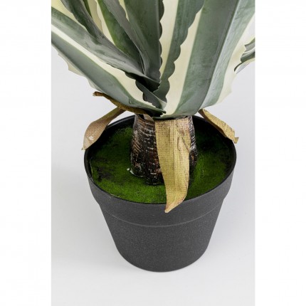 Decoratie plant agave 50cm Kare Design