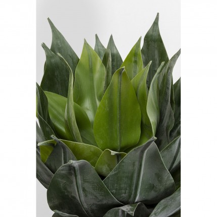 Decoratie plant agave 120cm Kare Design