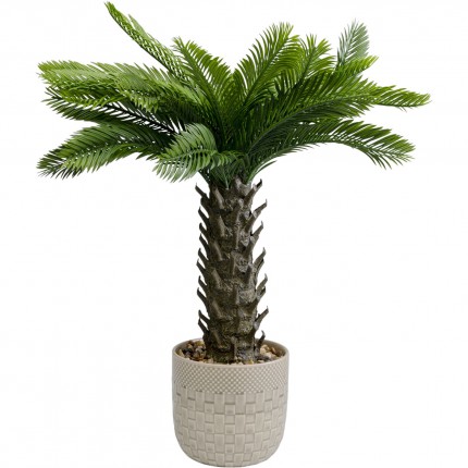 Deco plant Cycas 70cm Kare Design