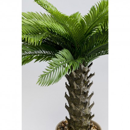 Decoratie plant Cycas 70cm Kare Design