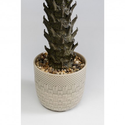 Deco plant Cycas 70cm Kare Design