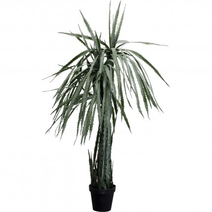 Decoratie plant Dracaena 155cm Kare Design