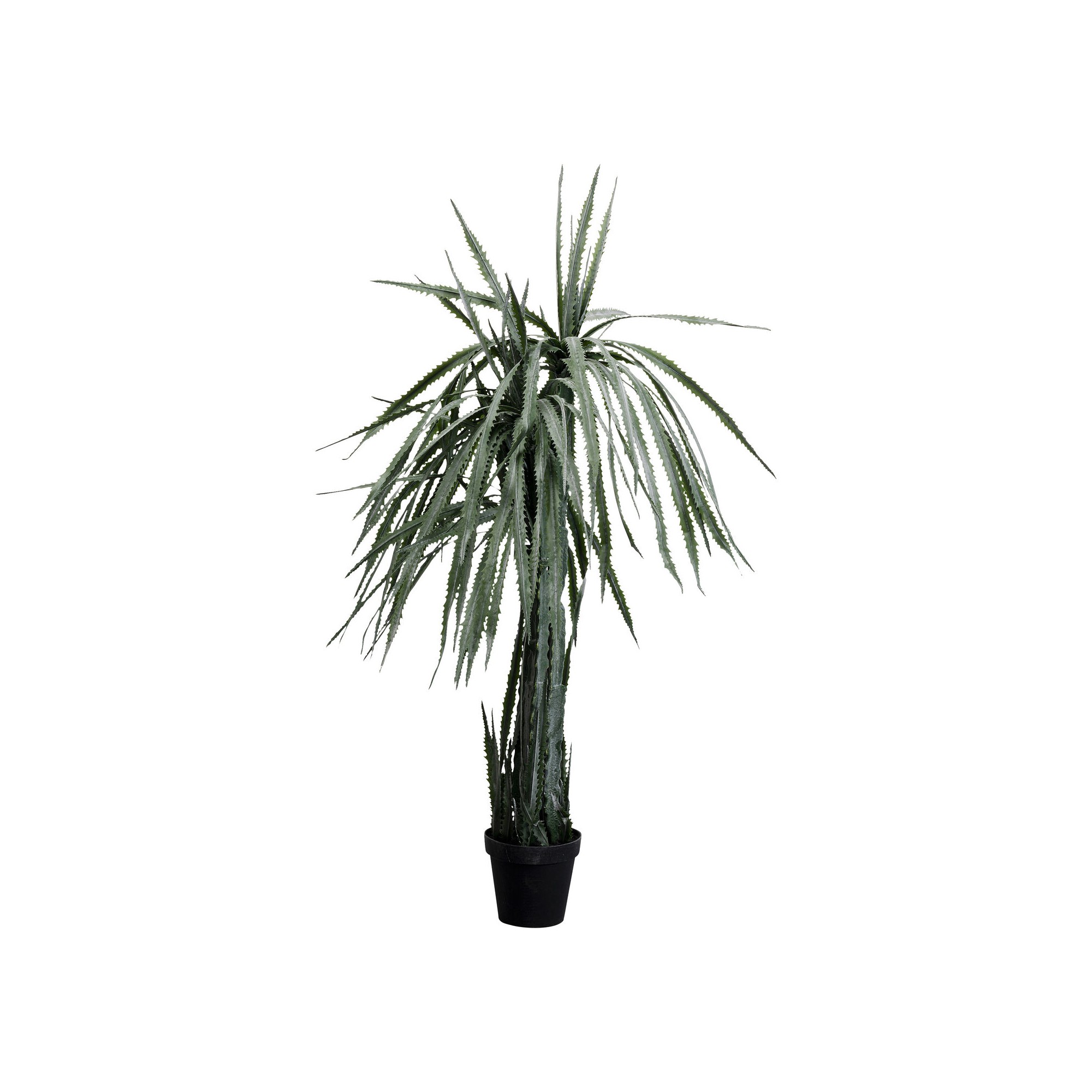 Plante décorative Dragon Tree 155cm