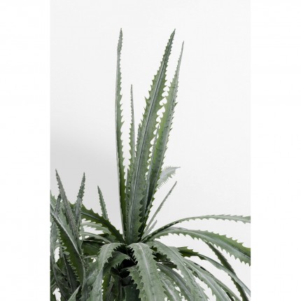 Decoratie plant Dracaena 155cm Kare Design