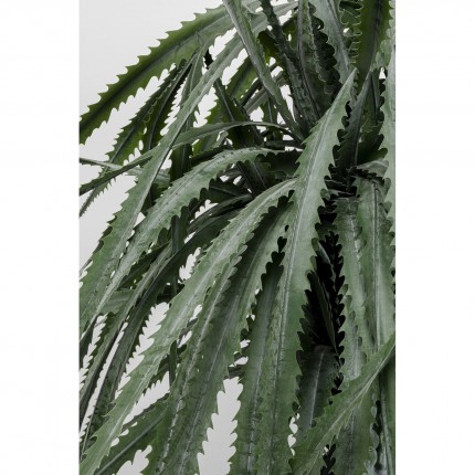 Deco plant Dracaena 155cm Kare Design