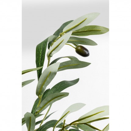 Deco plant olive tree 150cm Kare Design