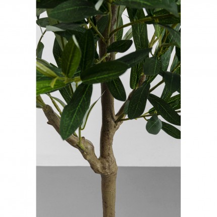 Decoratie plant olijfboom 150cm Kare Design