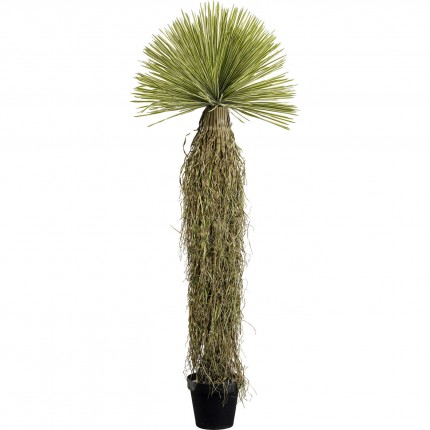 Deco plant Yucca 180cm Kare Design