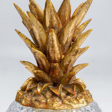 Opberger Pineapple Visible Kare Design