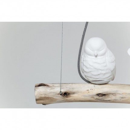 Hanglamp Dining Birds Kare Design