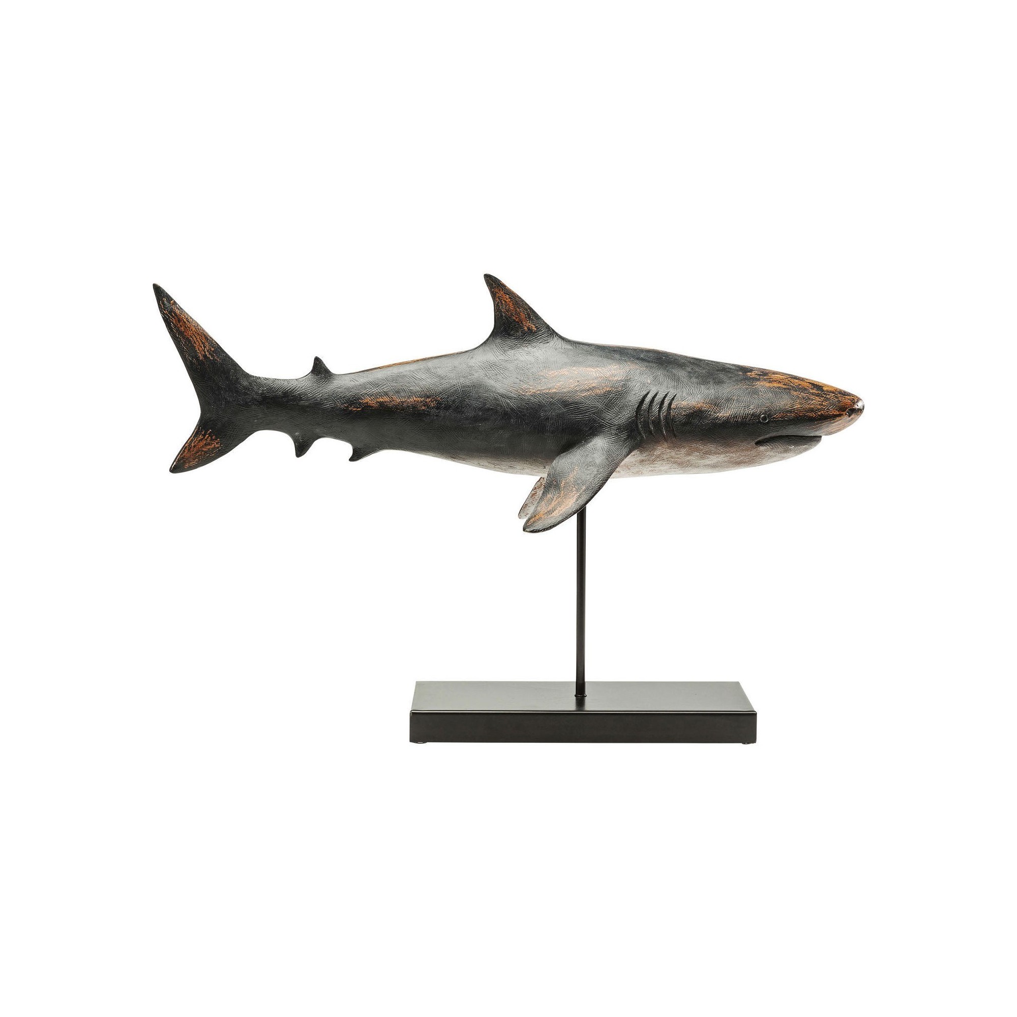 Déco Shark Base Kare Design