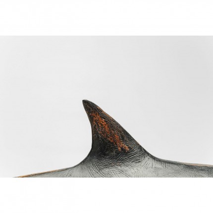 Decoratie Shark Base Kare Design