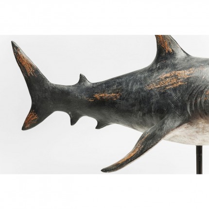 Decoratie Shark Base Kare Design