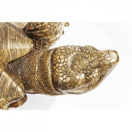 Decoratie Turtle Gouden XL Kare Design