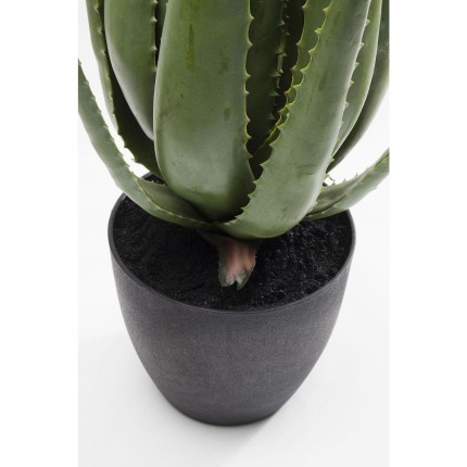 Decoratie Plant Aloe 69cm Kare Design