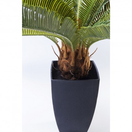 Decoratie Plant Cycas Tree 78cm Kare Design