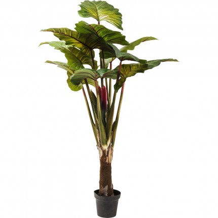 Decoratie Plant Rainforest Green 160cm Kare Design