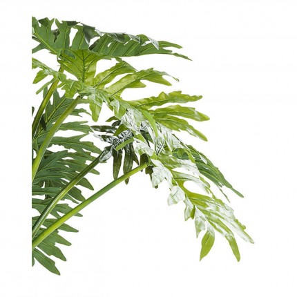 Decoratie Plant Big Monstera 175cm Kare Design