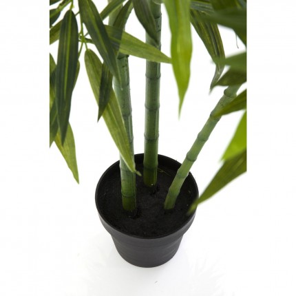 Deco Plant bamboo 200cm Kare Design