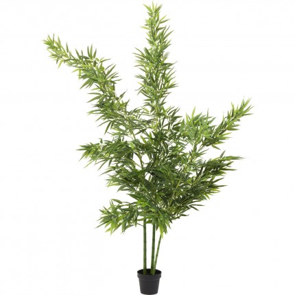 Decoratie Plant Bamboo Tree 200cm Kare Design