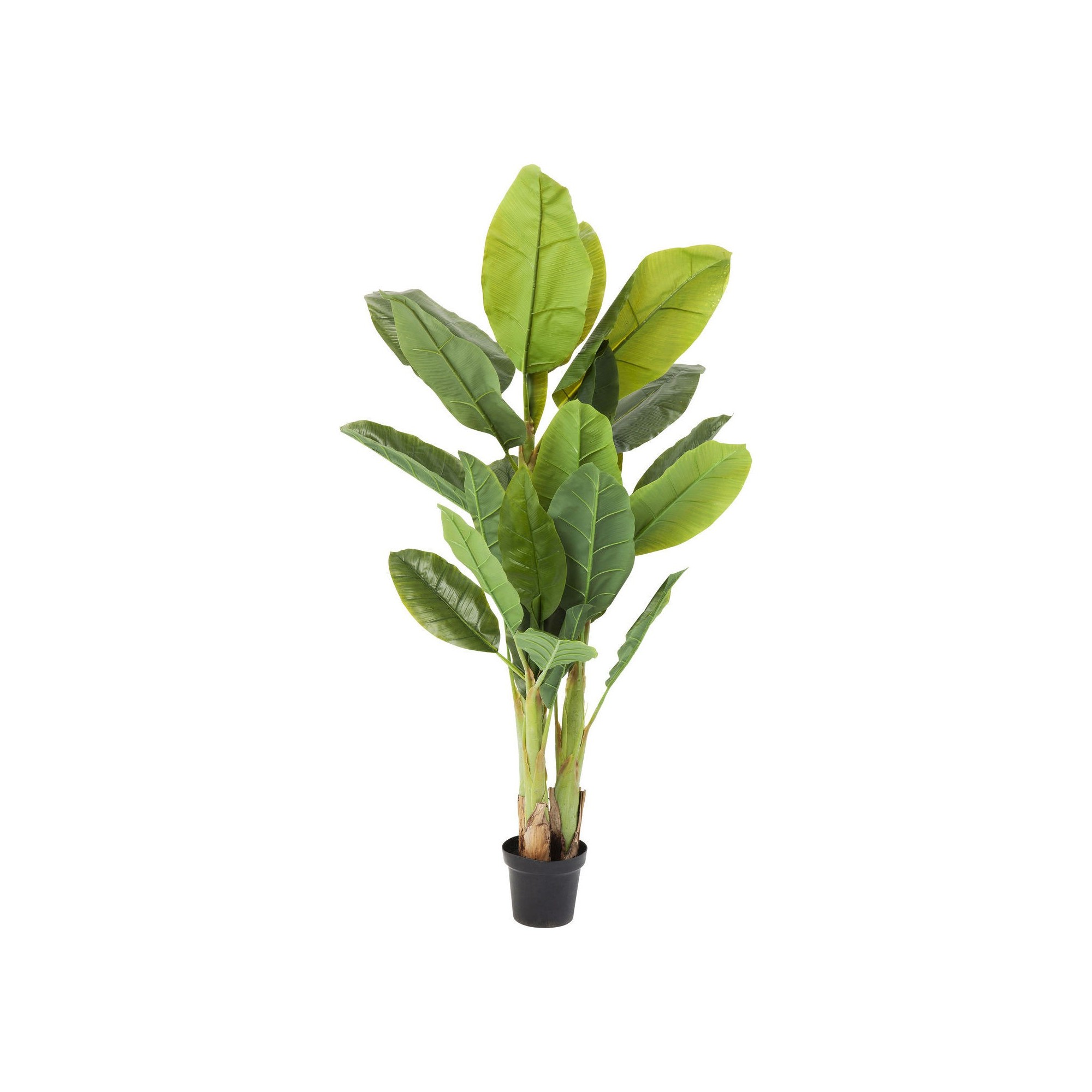 Plante décorative Bananier 180cm Kare Design