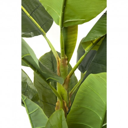 Decoratie Plant Banana Tree 180cm Kare Design